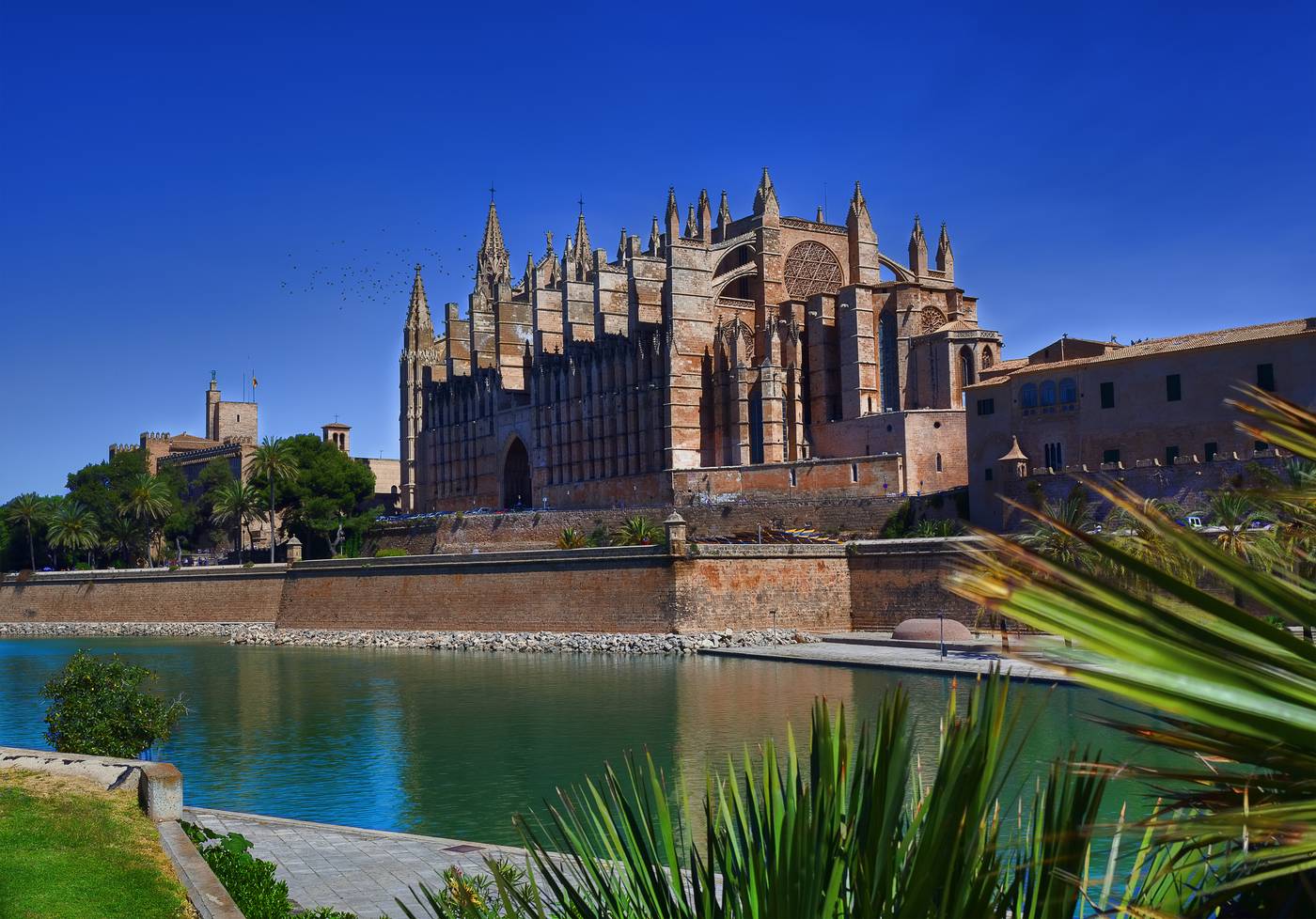 The cathedral of Santa Maria of Palma, La Seu, seen from the old town